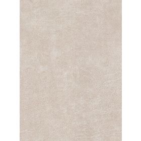 Bull Beige 05 