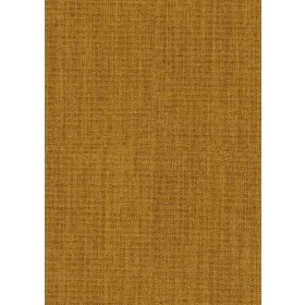 CAPE MUSTARD 06