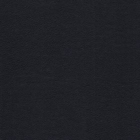 Kunstleer Old flame Black